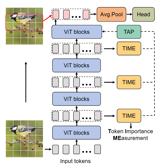 A Hidden Stumbling Block in Generalized Category Discovery: Distracted Attention